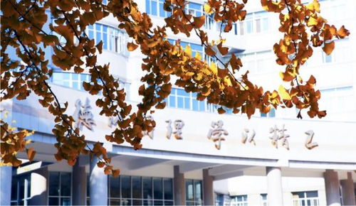 北京理工大學(xué)王牌專業(yè)盤點(diǎn) 網(wǎng)絡(luò)與信息安全、軟件開(kāi)發(fā)等熱門方向不可錯(cuò)過(guò)